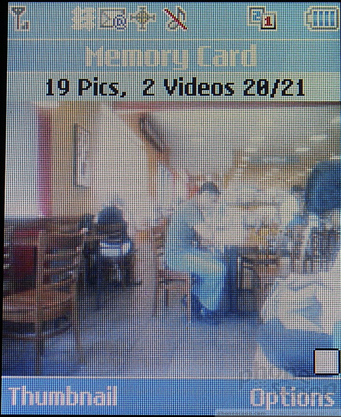 (large photo)