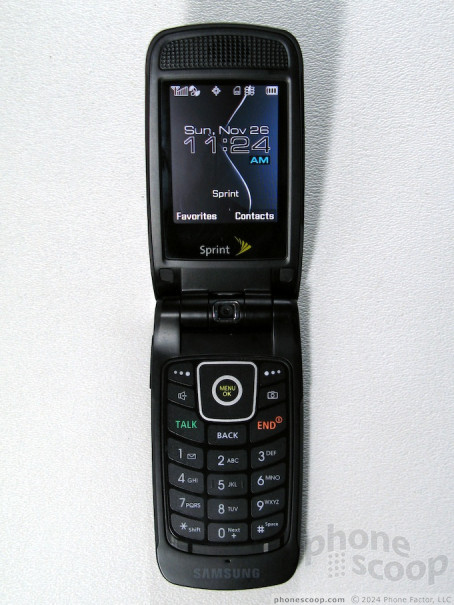 (large photo)