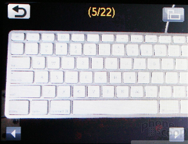 (large photo)