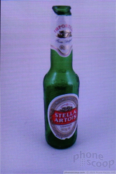 (large photo)