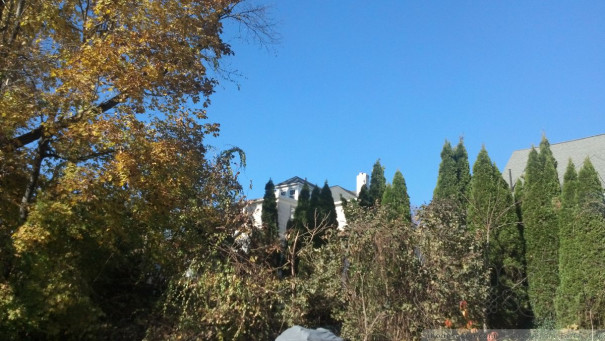 (large photo)