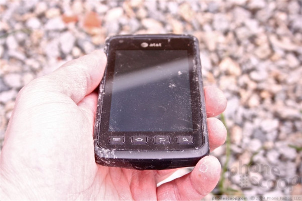 (large photo)
