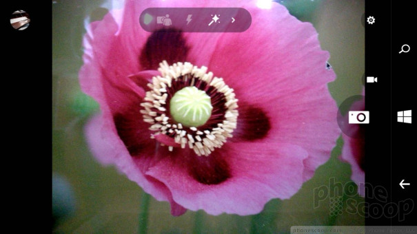 (large photo)