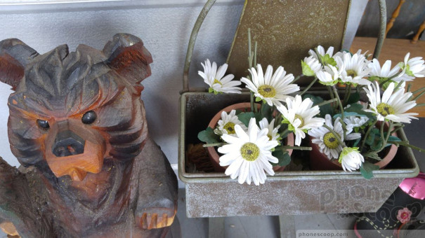 (large photo)