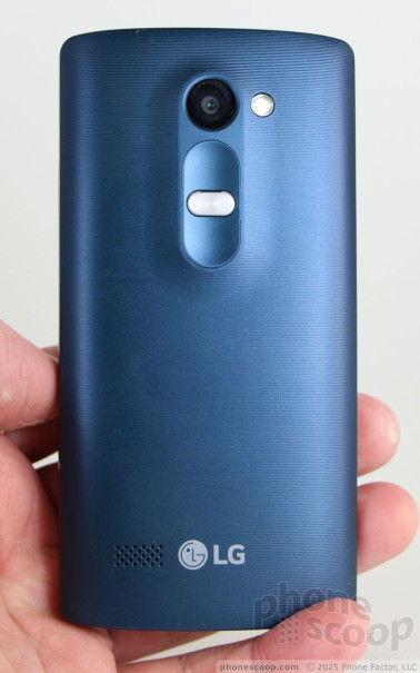 (large photo)