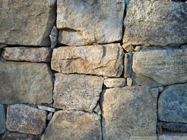 (large photo)