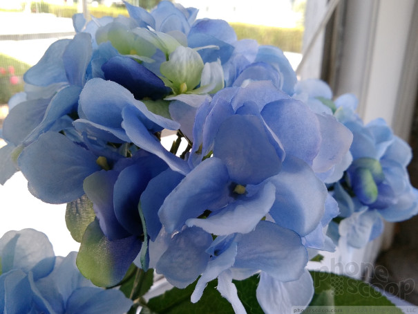 (large photo)