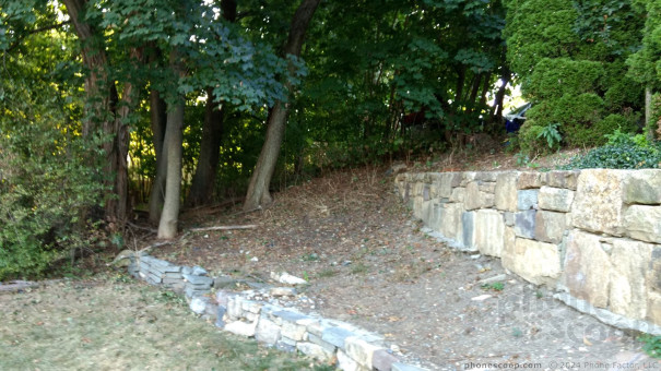 (large photo)