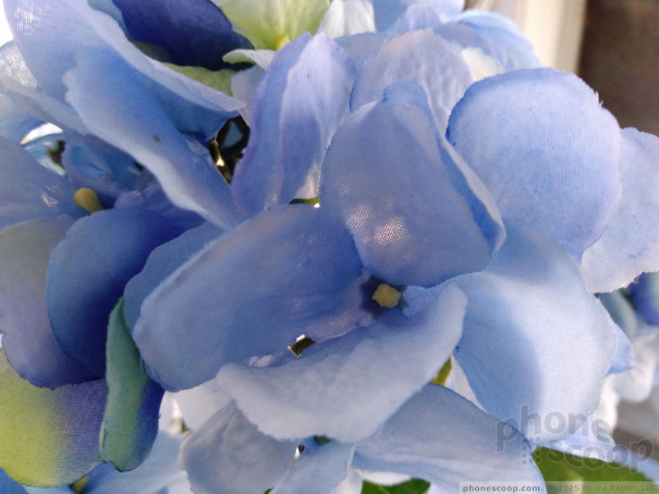 (large photo)