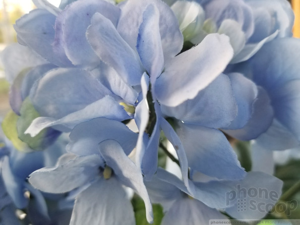 (large photo)