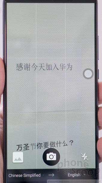 (large photo)