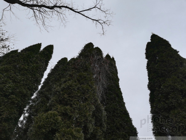 (large photo)