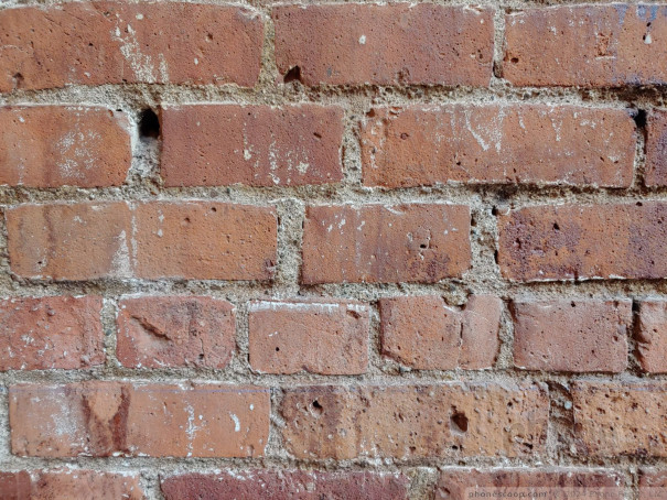 (large photo)
