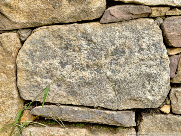 (large photo)