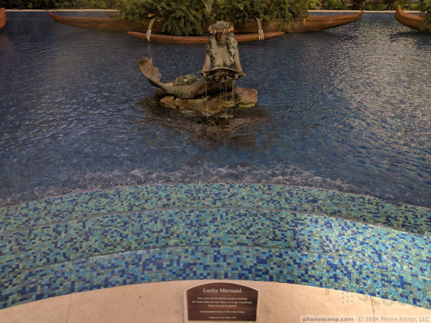 (large photo)